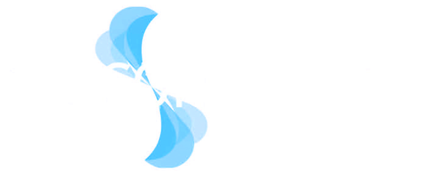 2G Consulting